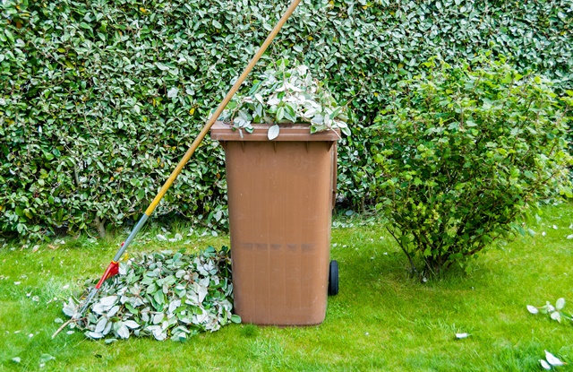 Cronograma Semanal (26 a 30/01) de Coleta de Pequenos Volumes de Galhos e Resíduos de Jardinagem