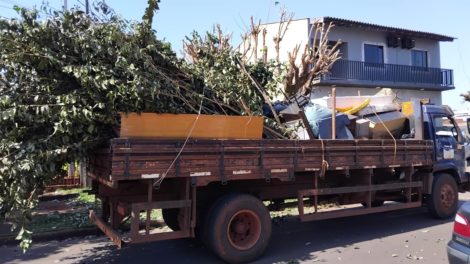 Cronograma Semanal (24 a 28/08) de Coleta de Pequenos Volumes de Galhos e Resíduos de Jardinagem